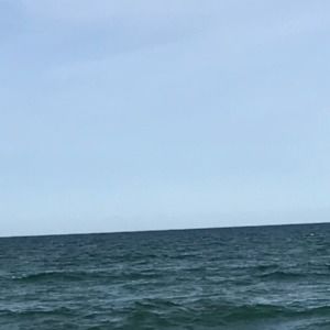 Meet your Posher, Bri